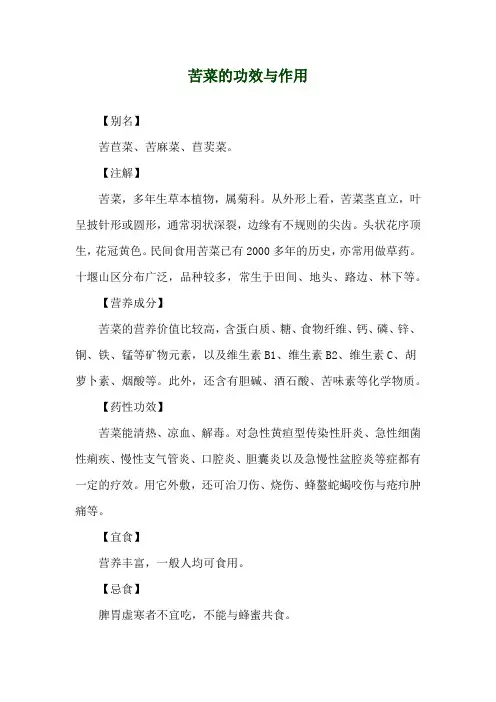 苦菜的功效与作用
