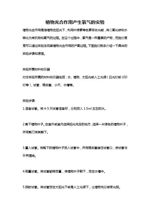 植物光合作用产生氧气的实验