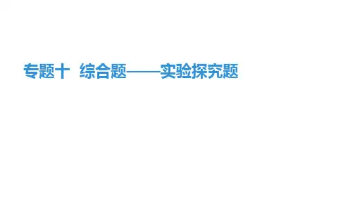 专题十  综合题——实验探究题