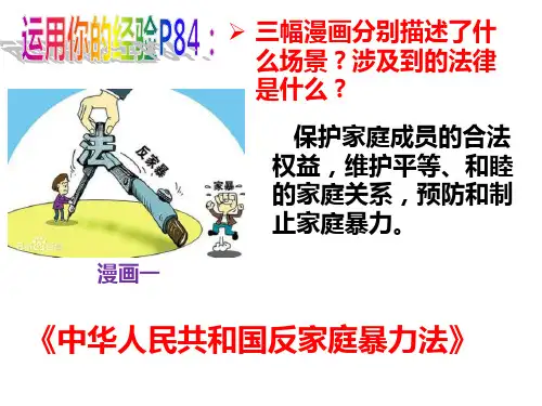 人教版道德与法治七年级下册 生活需要法律