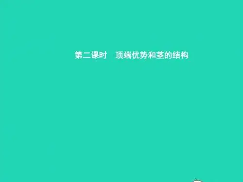 八年级生物上册 第四单元 第一章 第六节 芽的类型和发