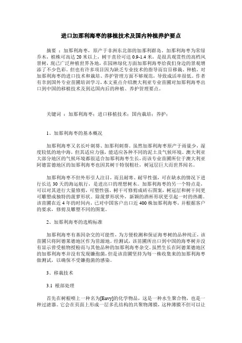 进口加那利海枣的移植技术及国内种植养护要点