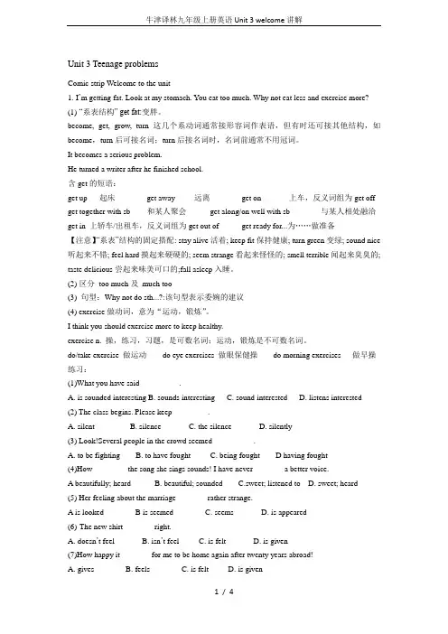 牛津译林九年级上册英语Unit 3 welcome讲解
