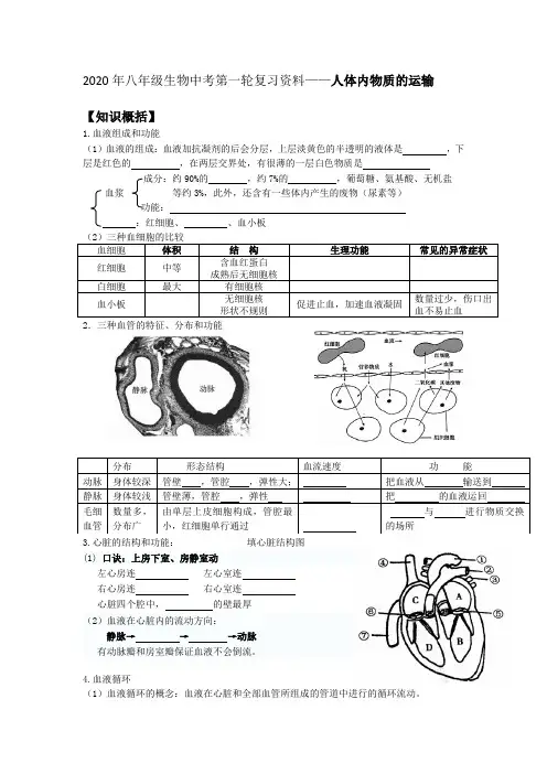 2020年八年级生物中考第一轮复习资料——人体内物质的运输