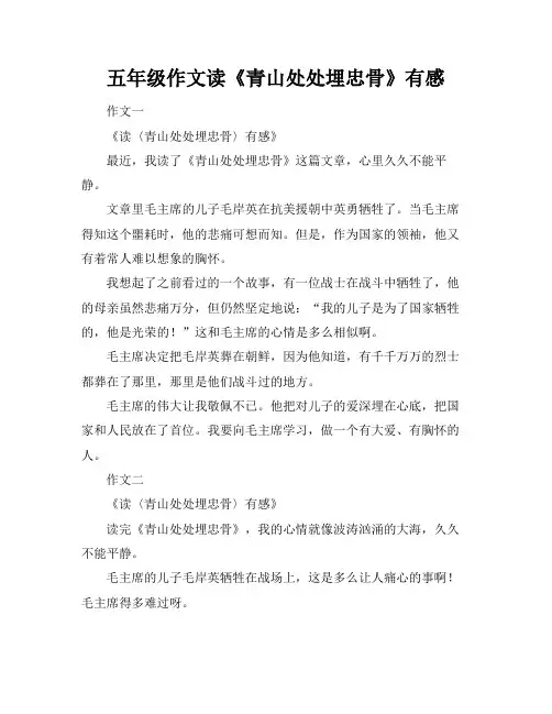 五年级作文读《青山处处埋忠骨》有感