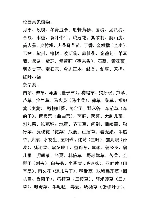 校园常见植物