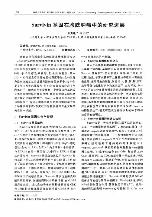 Survivin基因在膀胱肿瘤中的研究进展