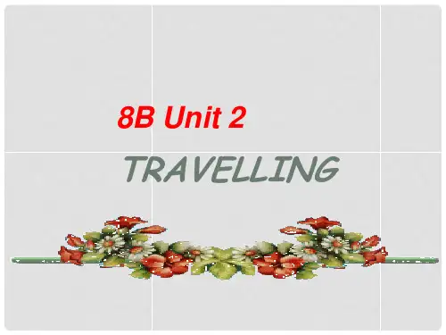 江苏省永丰初级中学八年级英语下册 Unit 2 Travelling