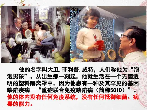 新版人教版高中生物《免疫调节》 (共40张PPT)_2学习演示PPT课件