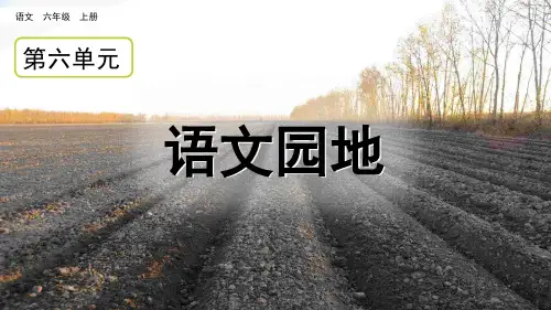 部编版六年级语文上册第六单元《语文园地六》课件