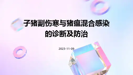 子猪副伤寒与猪瘟混合感染的诊断及防治