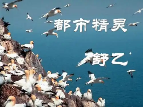 《都市精灵》PPT课件(上课用)