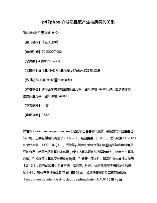 p47phox介导活性氧产生与疾病的关系