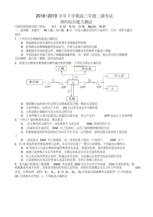 河北省衡水中学2019届高三下学期二调考试理科综合试题