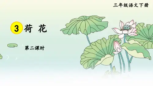 部编版三年级语文下册3荷花第二课时课件(30张PPT)
