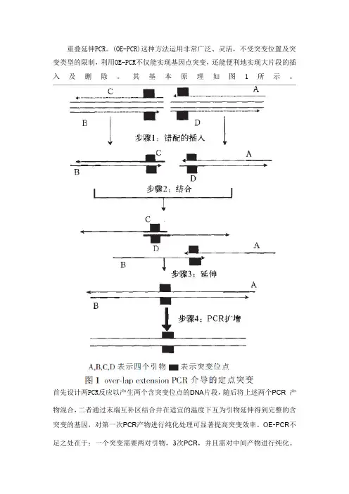 医学分子生物学