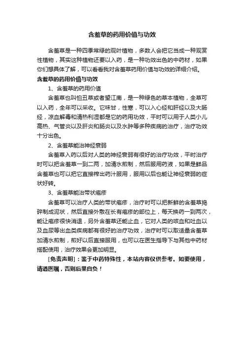 含羞草的药用价值与功效