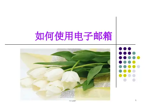 《如何使用电子邮箱》PPT课件