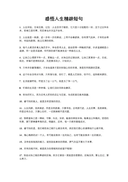 感悟人生精辟短句