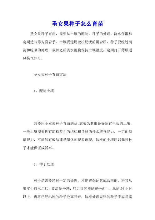圣女果种子怎么育苗