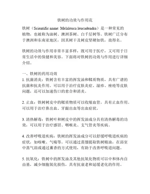 铁树的功效与作用花