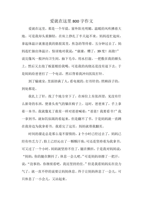 爱就在这里800字作文