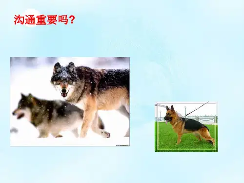 高效沟通技巧课件.pptx