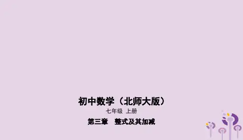 七年级数学上册第三章整式及其加减2代数式课件新版北师大版201901173103