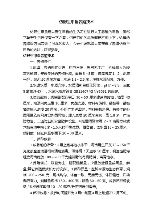 仿野生甲鱼养殖技术