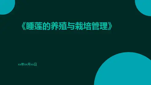 睡莲的养殖与栽培管理