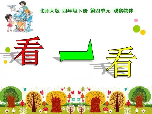 2017春北师大版数学四下4.1《看一看》ppt课件2