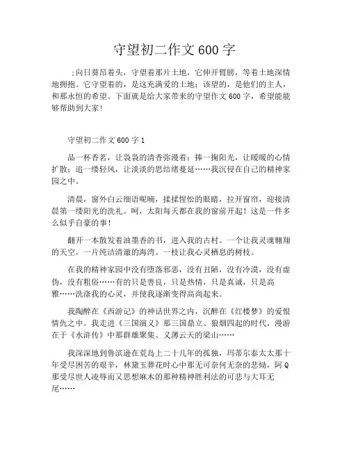 守望初二作文600字