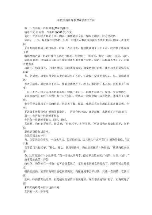 暑假里的新鲜事500字作文5篇