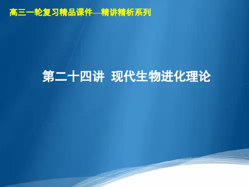 高三生物一轮复习精品课件1：第24讲  现代生物进化理论