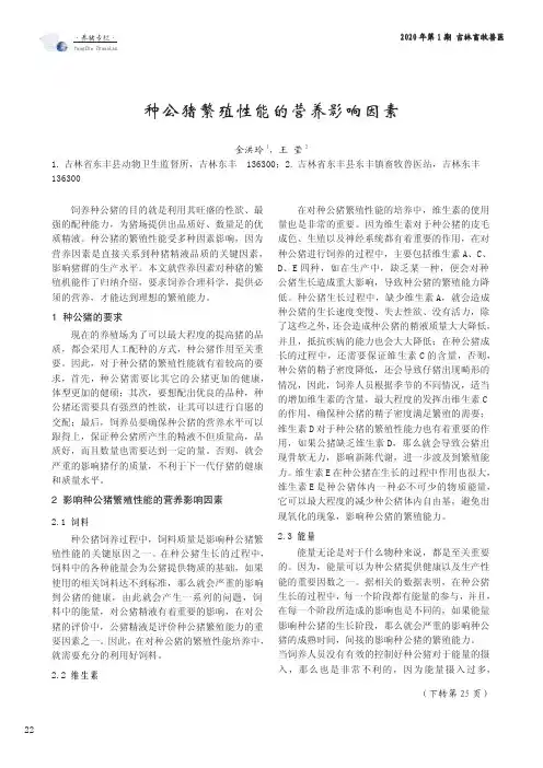 种公猪繁殖性能的营养影响因素