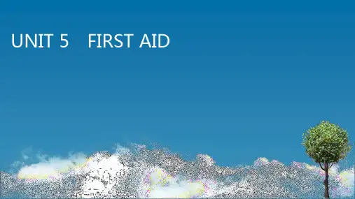 (新教材)2020-2021学年高中人教版英语选择性必修第二册课件：UNIT 5 FIRST AID