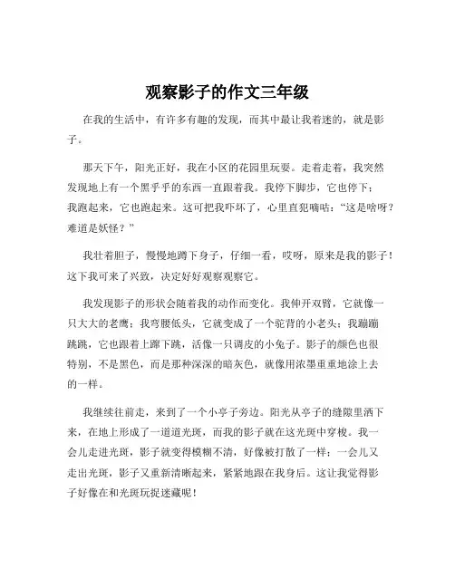 观察影子的作文三年级