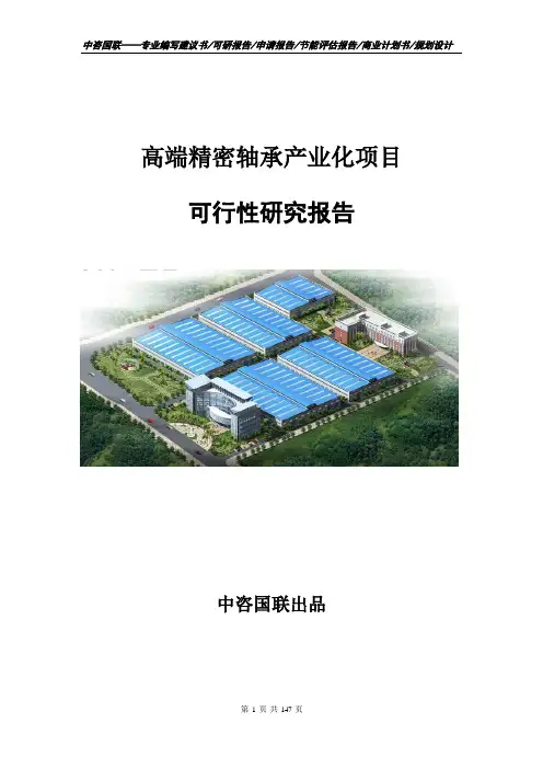高端精密轴承产业化项目计划书--可行性研究报告