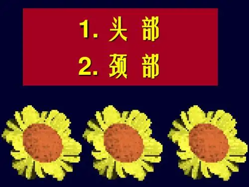 头颈部