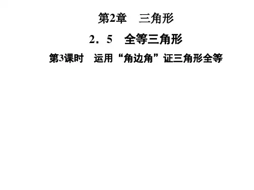 湘教版八年级数学上册第2章 2.5 全等三角形 第3课时 运用“角边角”证三角形全等