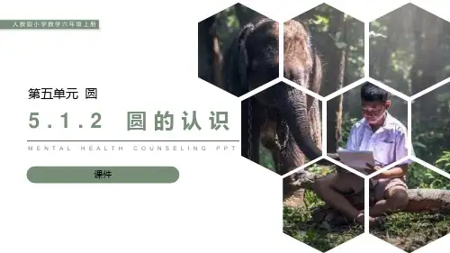 人教版六年级上册数学《圆的认识》说课教学复习课件巩固