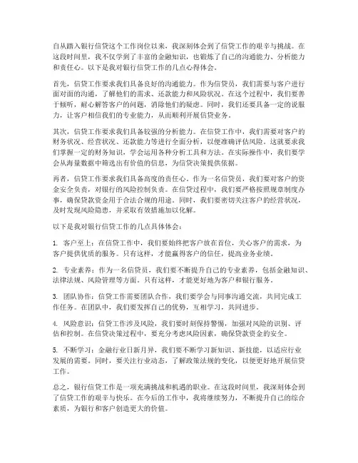 银行信贷工作心得体会