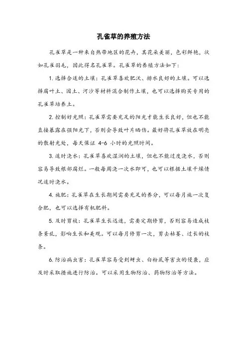 孔雀草的养殖方法