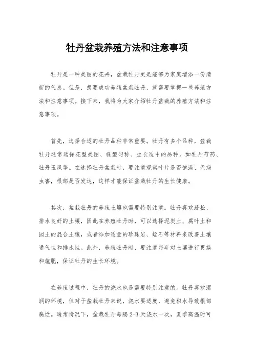 牡丹盆栽养殖方法和注意事项