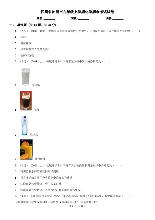 四川省泸州市九年级上学期化学期末考试试卷