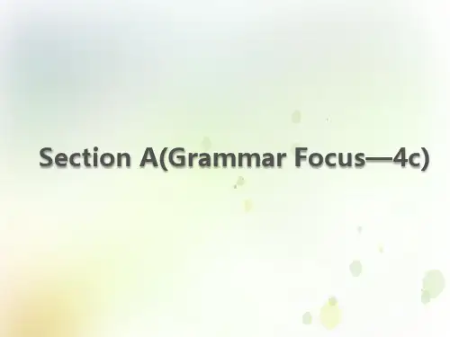 2020春鲁教版(五四学制)英语八年级下册：Unit6-Section A(Grammar Focus-4c)