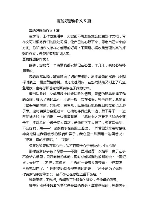 真的好想你作文5篇