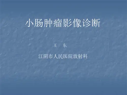 医学影像-小肠肿瘤影像诊断学