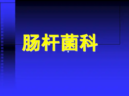 医学课件医学免疫学微生物学2杆菌