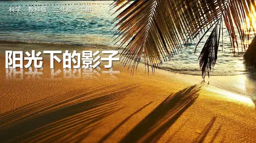 《阳光下物体的影子》PPT课件